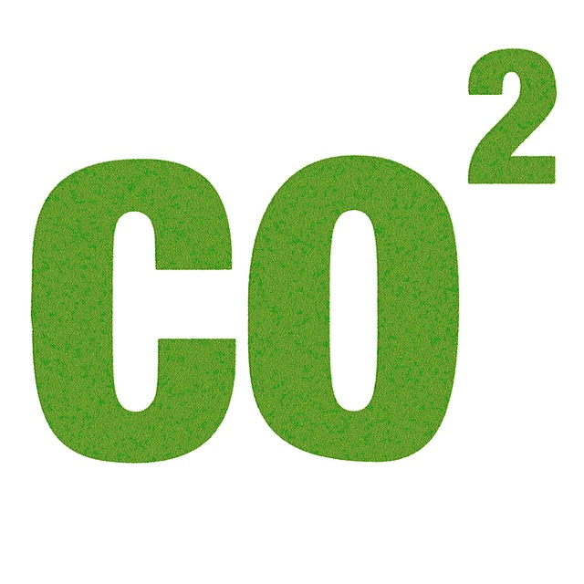 Bild für Update: Wer zahlt die CO2-Steuer?